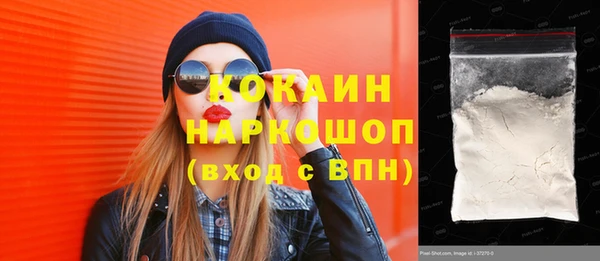 шишки Болотное