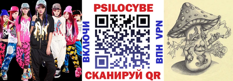 Галлюциногенные грибы Psilocybine cubensis  Купить где  Искитим 